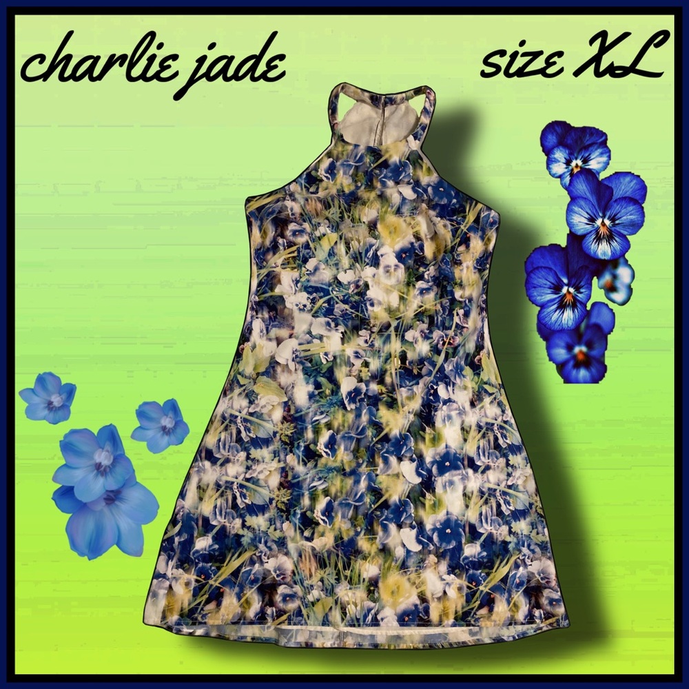 CHARLIE JADE cool color floral pattern DRESS size XL